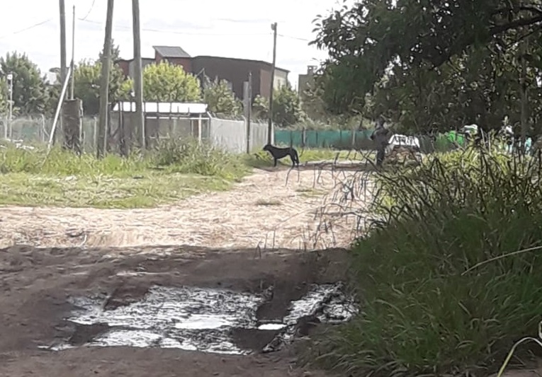 Una ola de robos preocupa a los vecinos del barrio Los Aromos