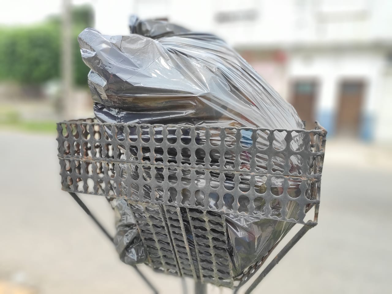 basura-ilustrativa-propia