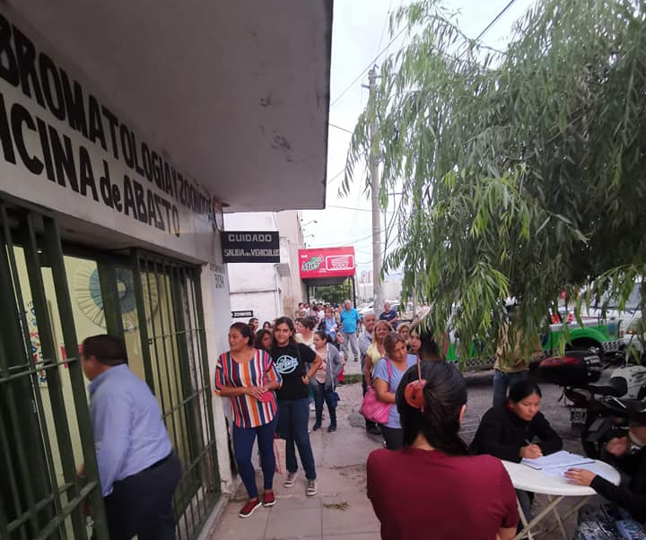 Amplia demanda de turnos para castraciones gratuitas a perros y gatos
