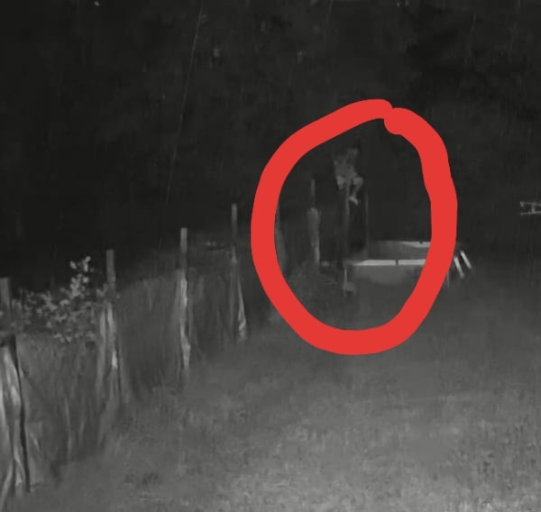 El insólito robo en una casa de Parque Irigoyen