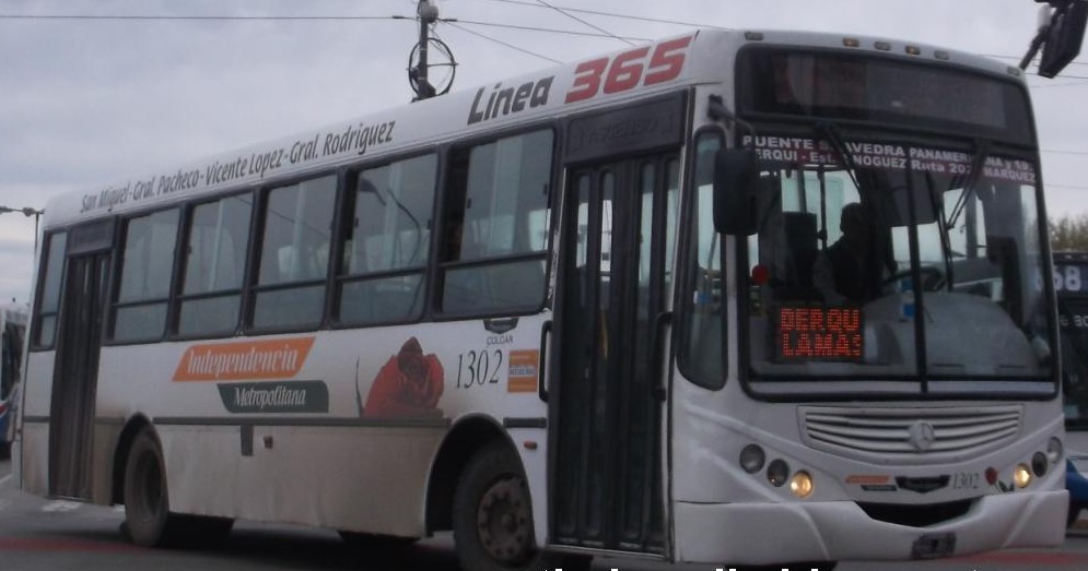 colectivo-365-2