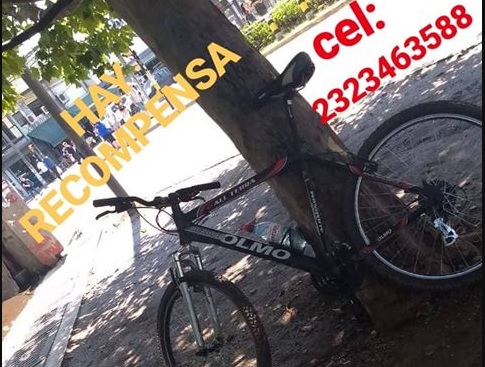 robo-bicicleta-olmo-centro