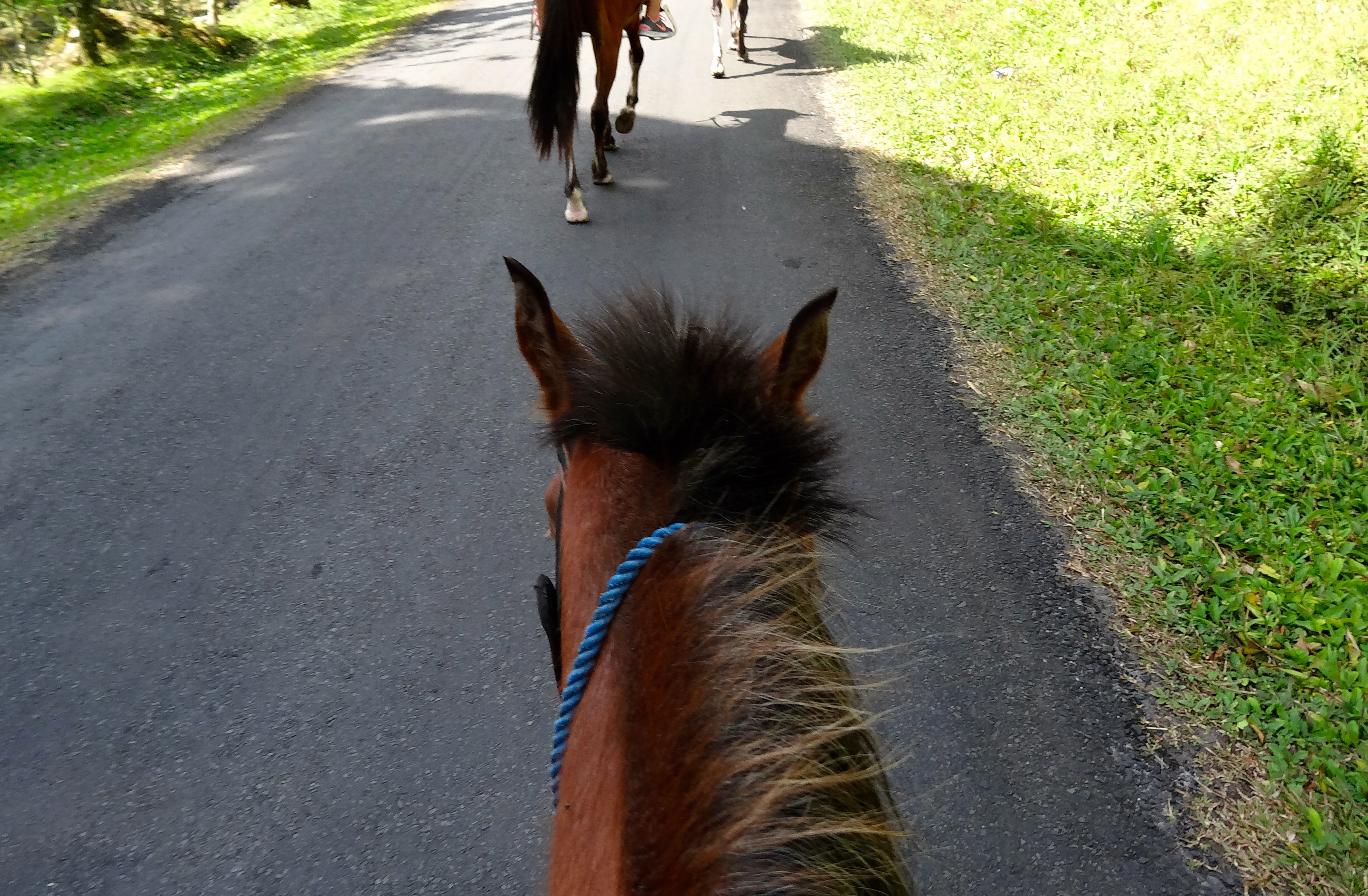 Delincuentes a caballo le dispararon a un hombre para robarle
