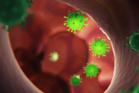 Coronavirus: reporte diario con más recuperados que nuevos contagios