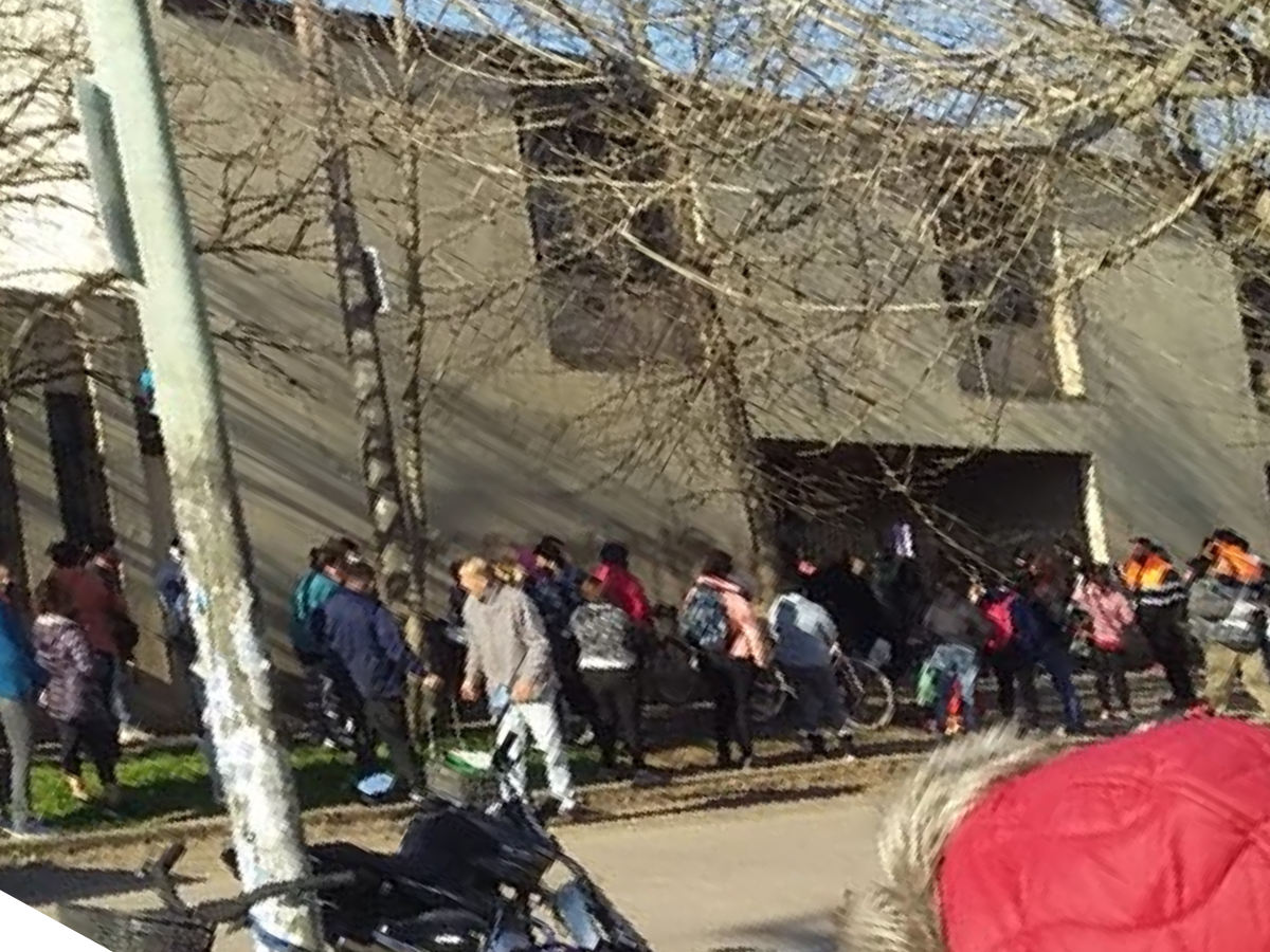 Colas y quejas por el SAE: una jornada sin entrega de mercadería y otra con demoras