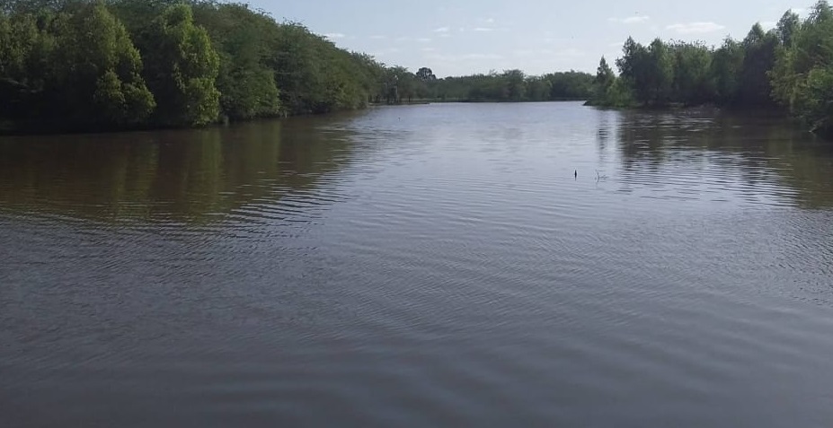 ARROYO LA CHOZA
