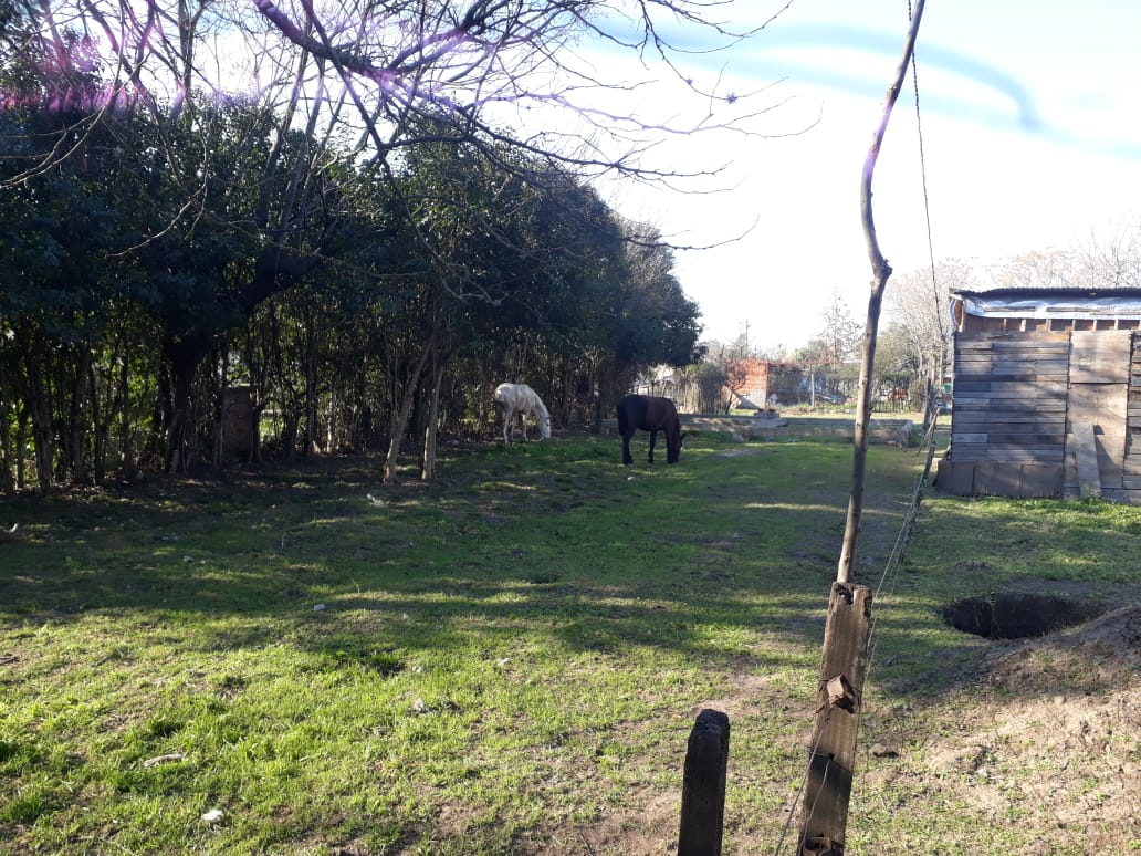 DETENCION POLICIA RURAL CABALLOS ROBADOS 3