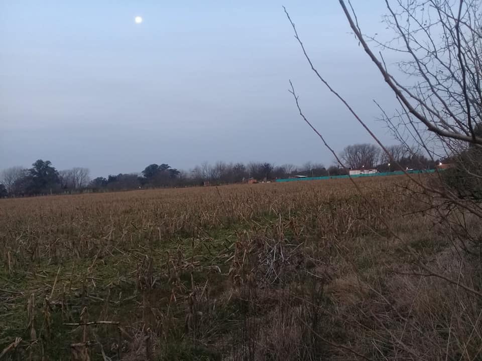 FUMIGACION AGROTOXICOS LA ERMITA 1