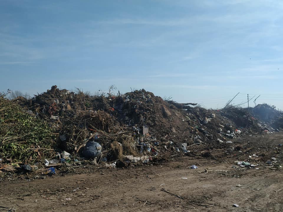 basural detrás hogar canino municipal 1