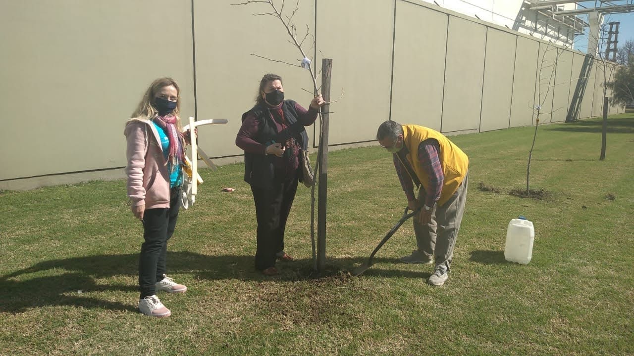 El Rotary Club plant&oacute; &aacute;rboles alrededor de la cancha de Alem y La Seren&iacute;sima
