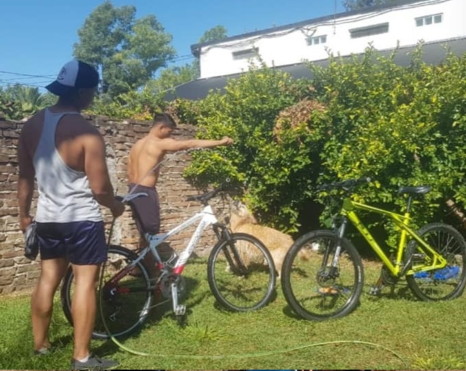 ROBO BICICLETAS BICENTENARIO