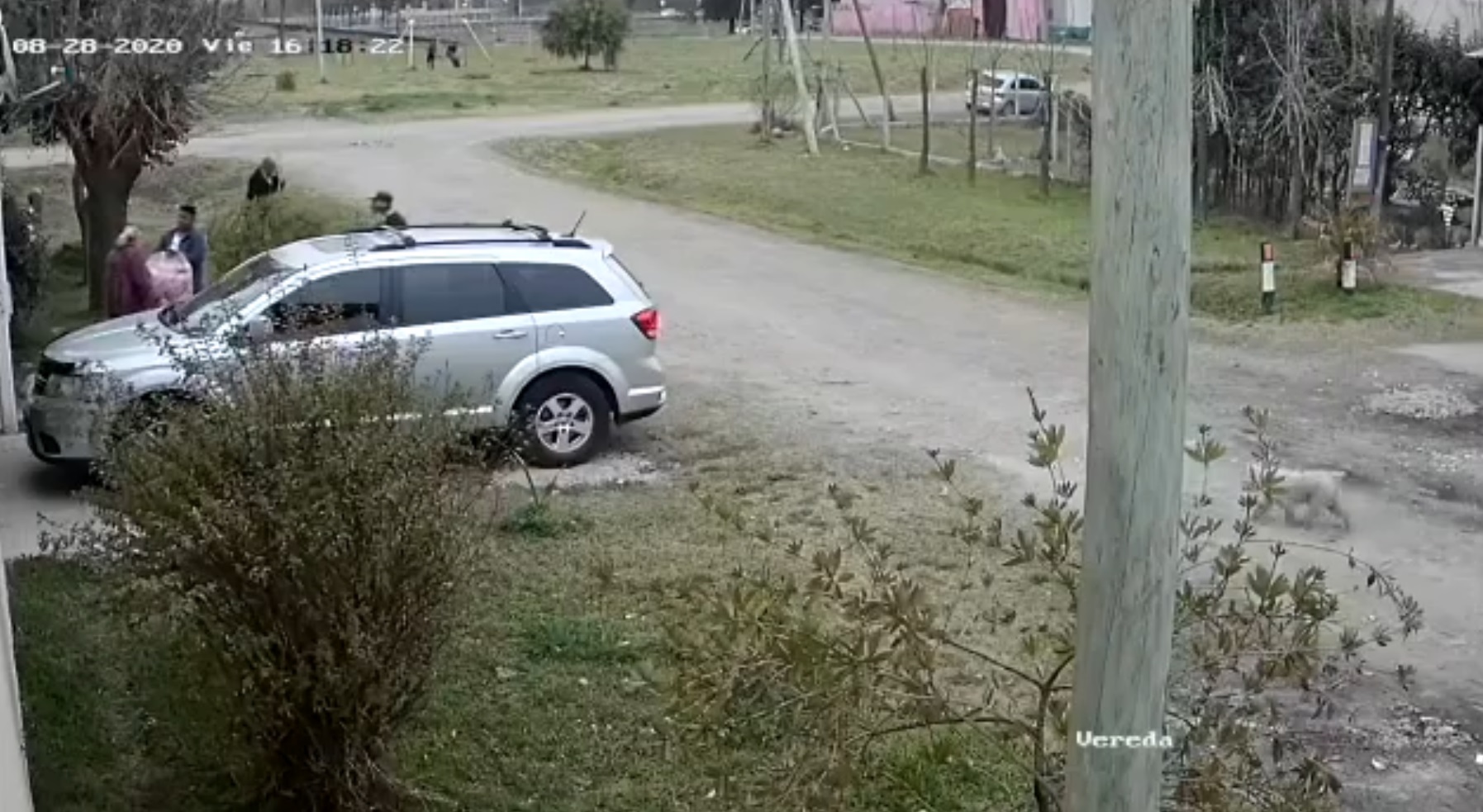 ROBO JUBILADOS LOS NARANJITOS