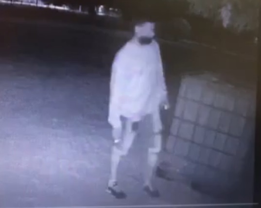 Entró a robar a una finca pero lo disuadieron los perros