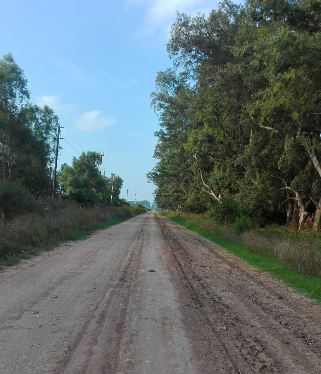 Vecinos y un desagradable hallazgo a la vera del Camino a Navarro