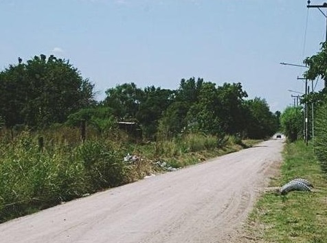 CALLE LAS ARAUCARIAS EL OMBU