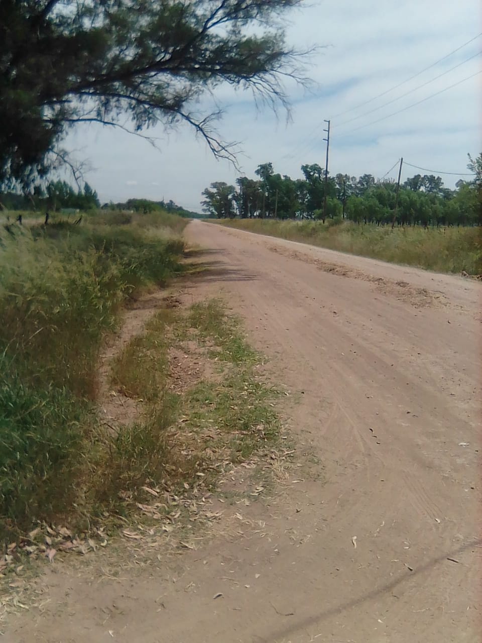 CINA-CINA-CALLE-2