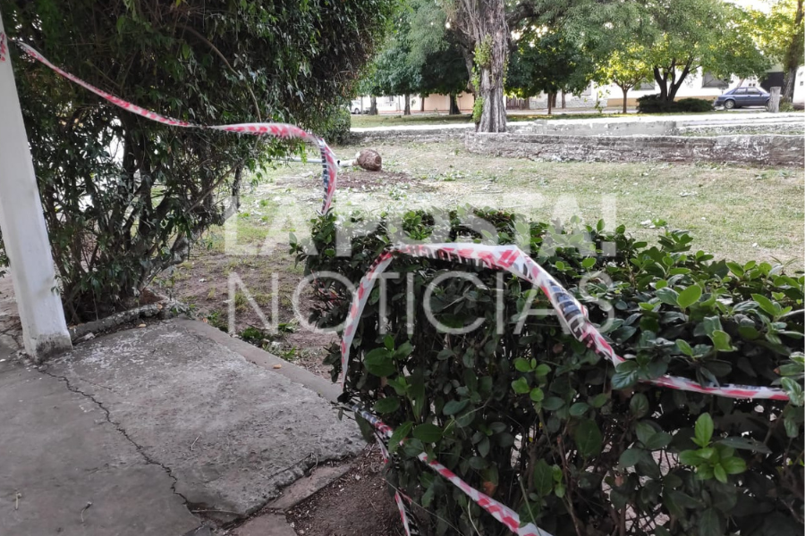 El viento partió a un árbol y un poste y casi provoca una tragedia en la Plaza Sur