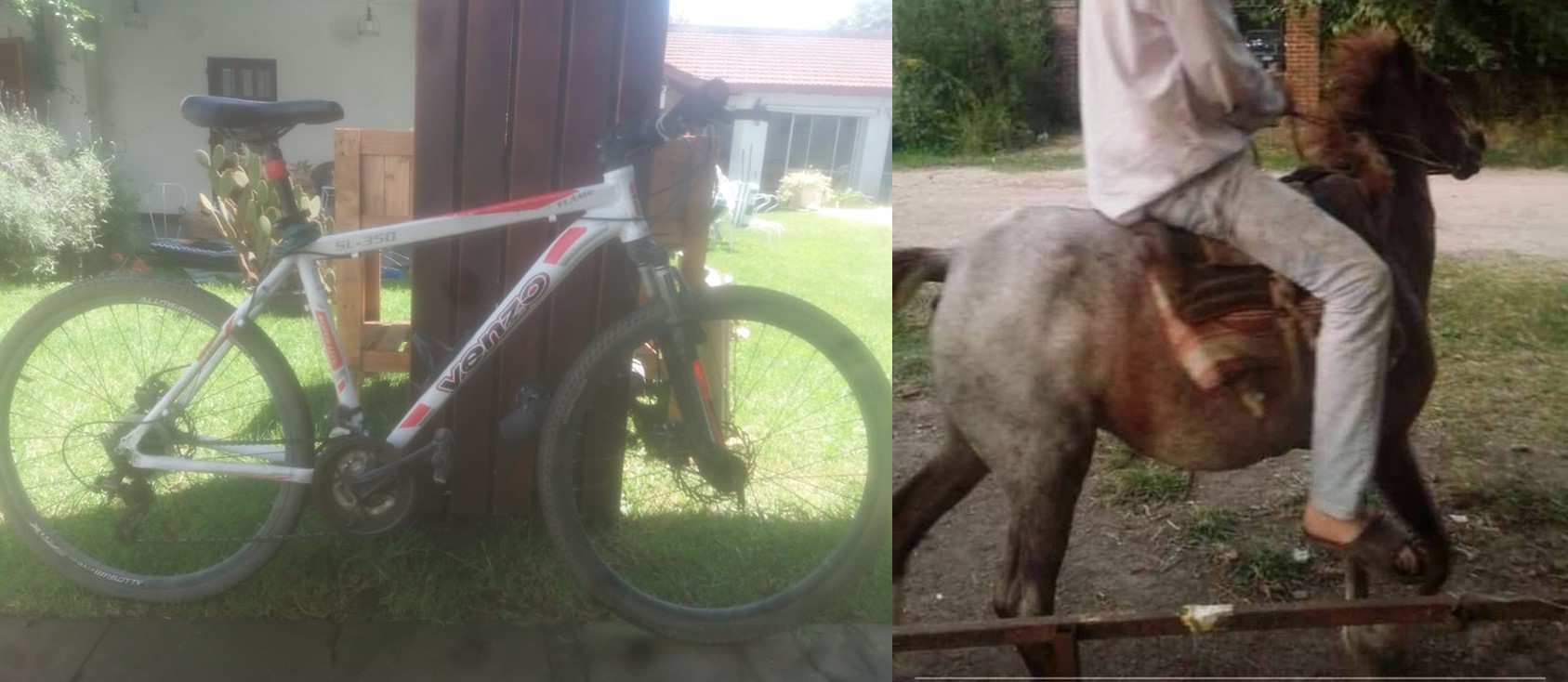 Video: robos sobre ruedas y al galope