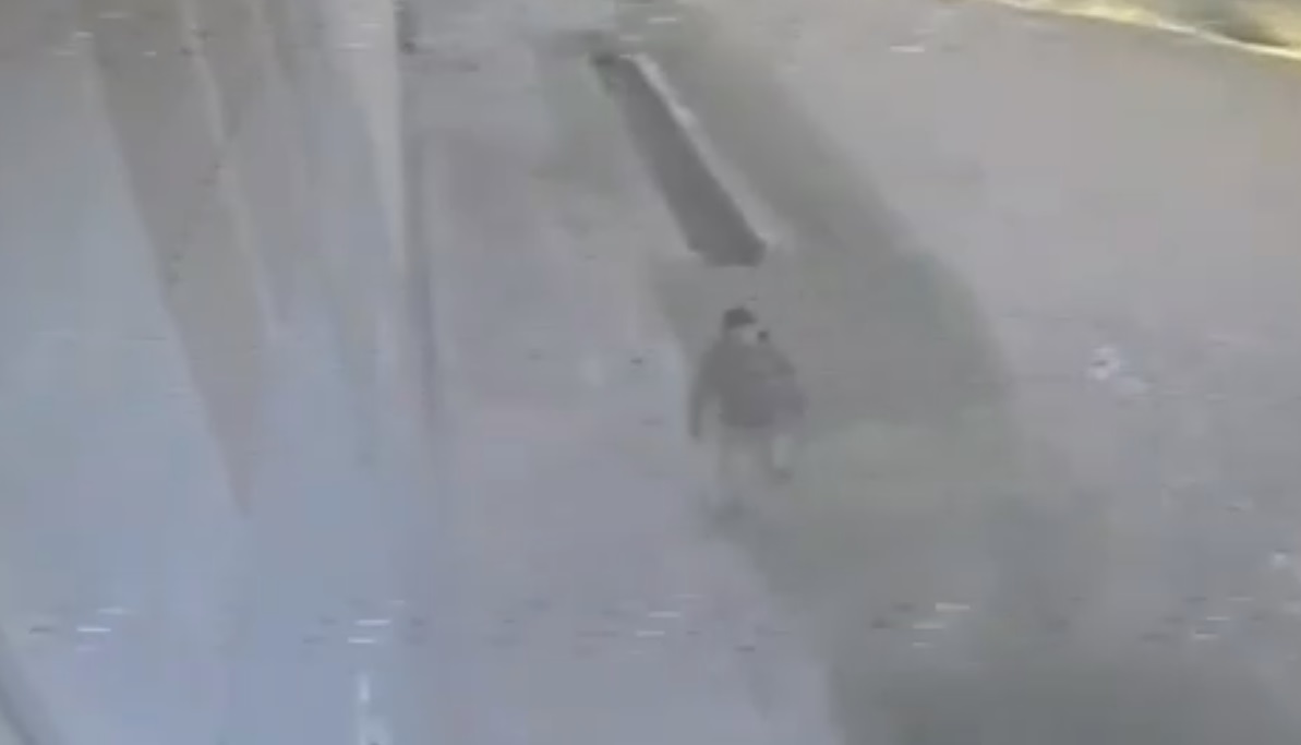 NICOLAS LEBRAS CAMARA SEGURIDAD