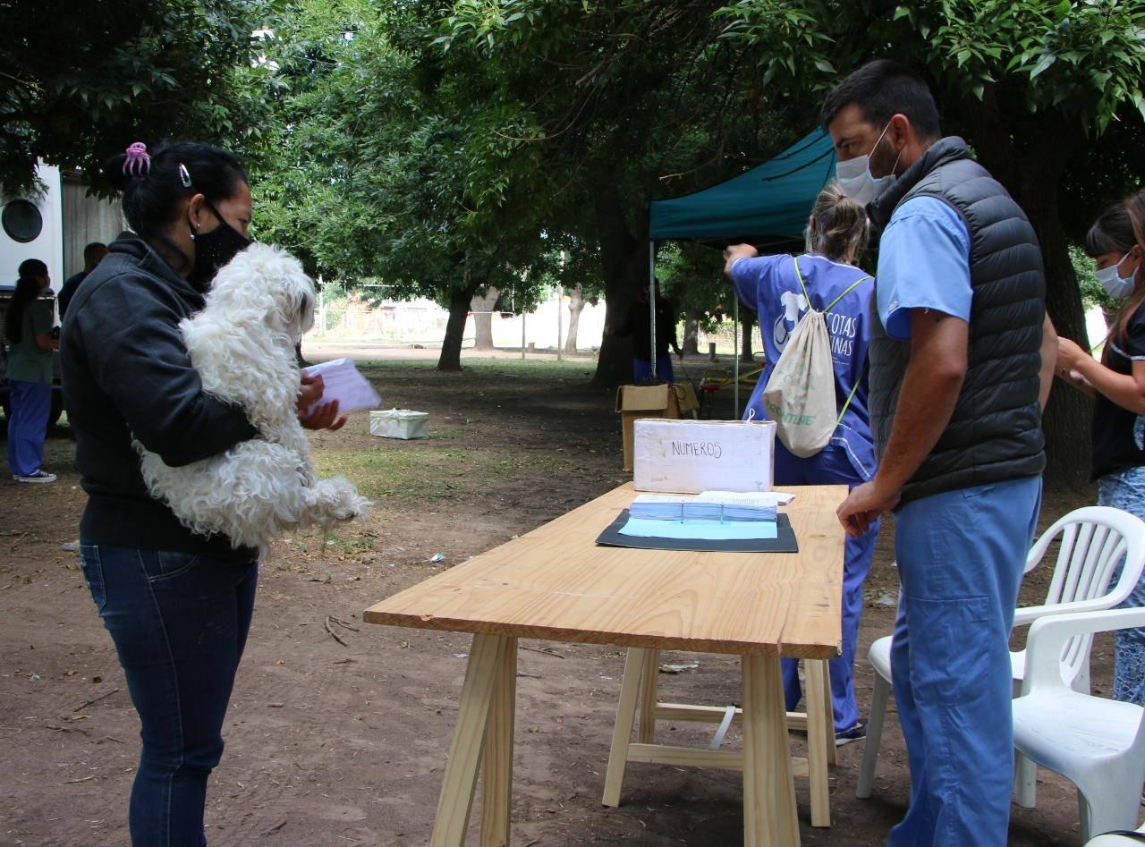 Se realizará una jornada de castración gratuita en La Fraternidad