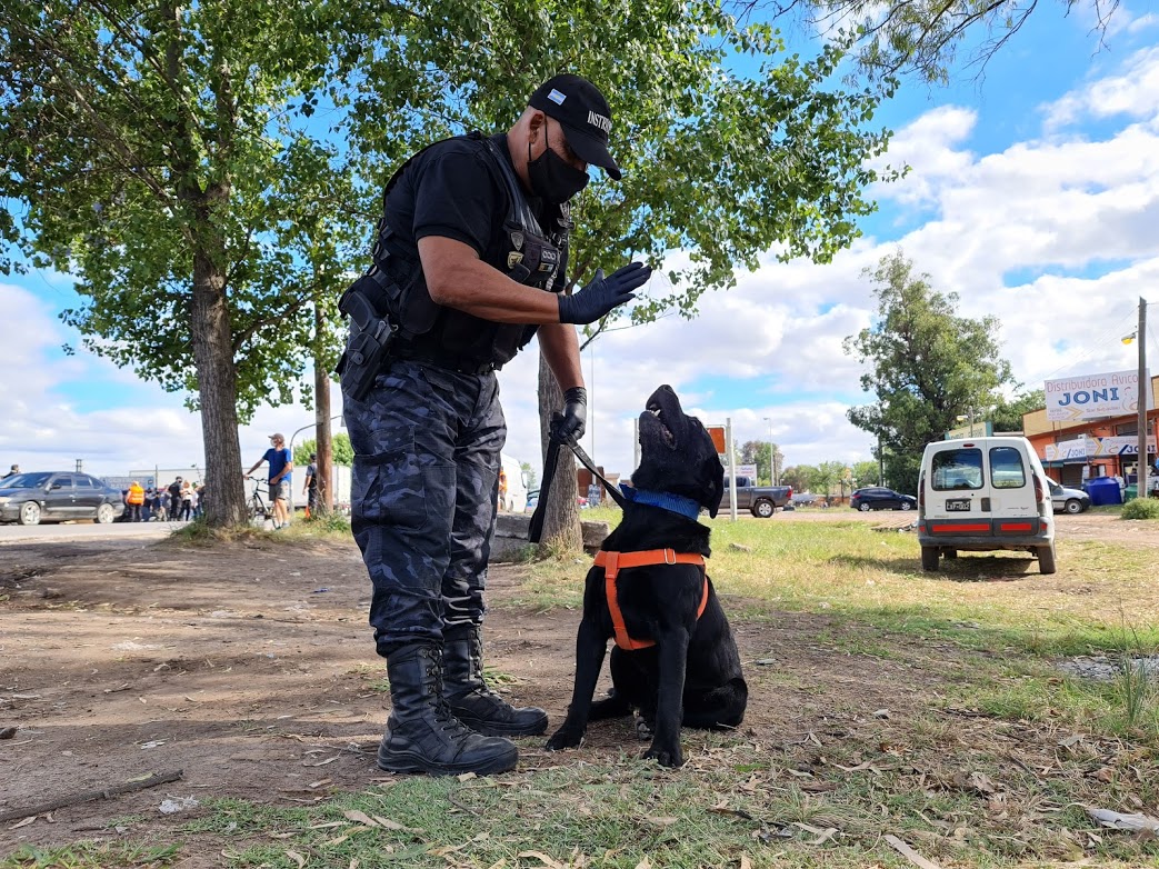 Video: Simón, el primer perro detector de narcóticos del Municipio