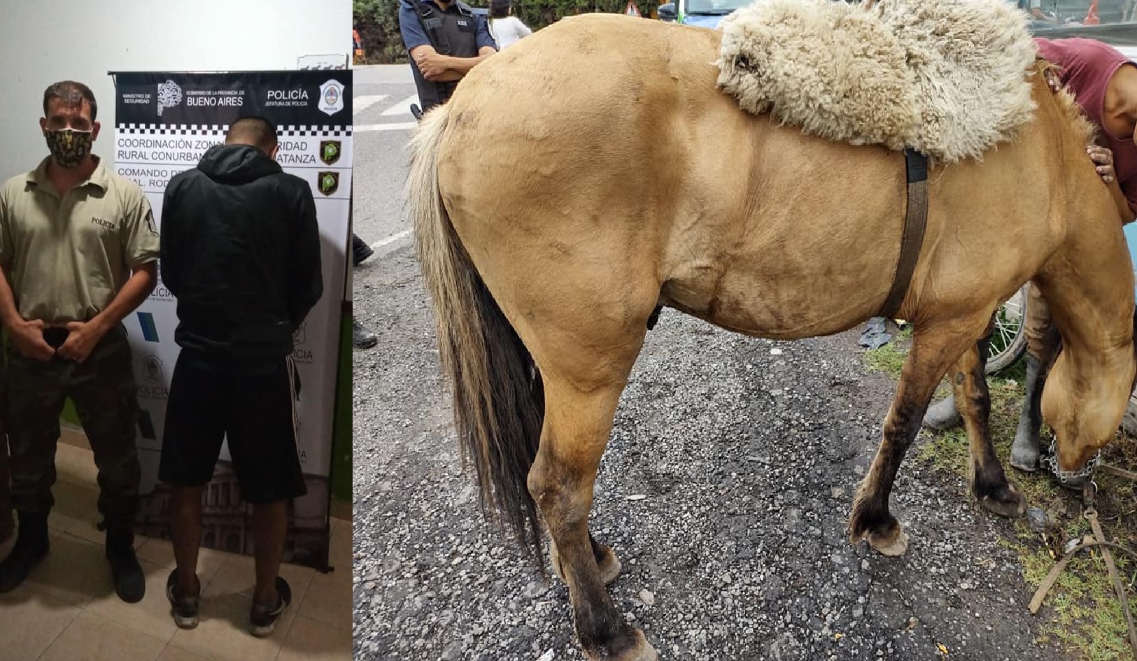 Recuperaron un caballo que había sido robado en el barrio Mi Rincón