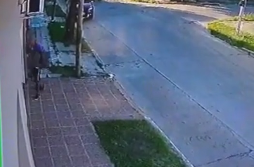 Video: forzó una puerta, robó un televisor y se lo llevó bajo el brazo