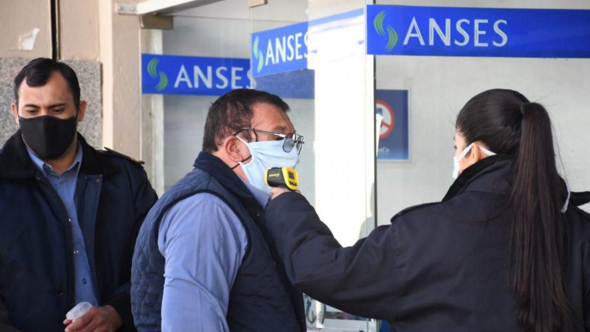 ANSES 3101