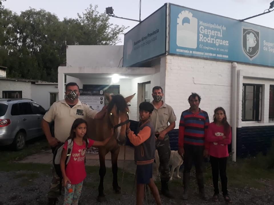 PATRULLA RURAL CABALLO ROBADO 2