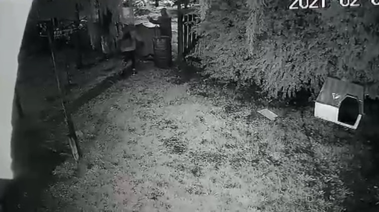 Video: por un agujero en el alambrado, entraron a robar a una casa en La Campanilla