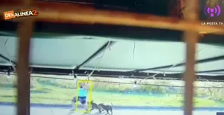 "Tengo p&aacute;nico, por esa calle no paso": sigue latente el miedo en Bicentenario por perros en la v&iacute;a p&uacute;blica