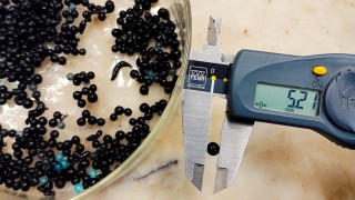 Un avance para eliminar el ars&eacute;nico que se festeja en Gral Rodr&iacute;guez y toda la regi&oacute;n