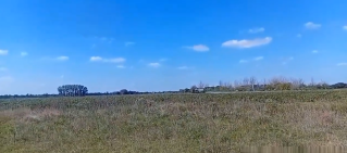 Video: denuncian que siguen las fumigaciones en un barrio rodriguense pese a un fallo judicial