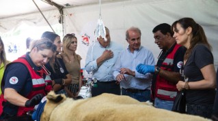 Un funcionario del gobierno nacional se hizo presente en el operativo de rescate del Zoo de Luján