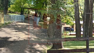 Clausuraron otra fiesta electr&oacute;nica clandestina en General Rodr&iacute;guez: esta vez en d&oacute;nde fue