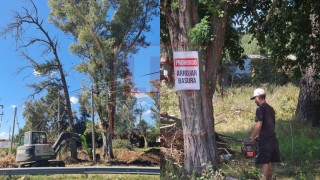 Desmonte y clausura en un gran emprendimiento inmobiliario en General Rodr&iacute;guez