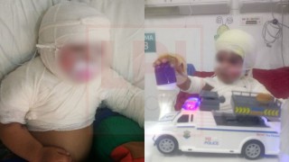 Alentadores avances en las recuperaciones de Mateo y Gaia, las criaturas rodriguenses internadas en La Plata