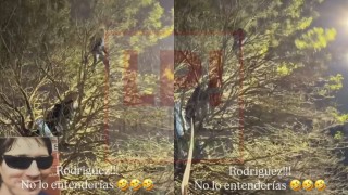 Video: tensi&oacute;n y preocupaci&oacute;n por personas trepadas a los &aacute;rboles de la Plaza Central durante los festejos por Argentina