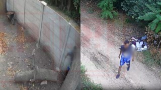 Video: ingres&oacute; a una propiedad ajena, da&ntilde;&oacute; pertenencias y se fug&oacute; ahuyentado por gritos