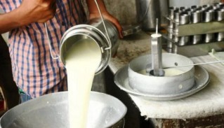 Piden declarar la "Ley de Emergencia" en la industria lechera: el complejo panorama provincial