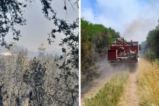 Alarma en Gral Rodr&iacute;guez por la seguidilla de incendios forestales: decenas de intervenciones en pocos d&iacute;as