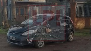 Un auto se estrelló contra una palmera tras despistar en una zona de la Ruta 7 complicada para los conductores