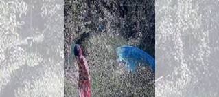 Video: con total impunidad y a cara descubierta, un delincuente le roba constantemente a una familia