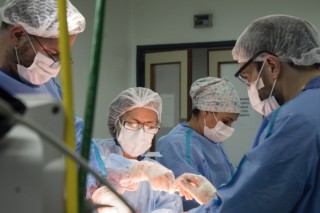 R&eacute;cord hist&oacute;rico en donaci&oacute;n de &oacute;rganos, con Buenos Aires como clave: los n&uacute;meros que lo explican