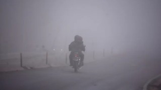 Se renov&oacute; el alerta por nieblas y neblinas para General Rodr&iacute;guez: el clima para las pr&oacute;ximas horas