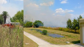 Vandalismo y fuego: prendieron cables, desataron un incendio y escaparon a caballo