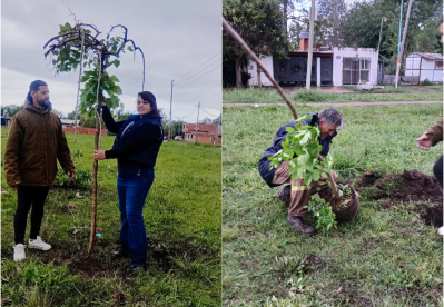Vecinos sin fronteras ambientales: dos barrios rodriguenses se unieron para forestar sus plazas