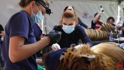 Video: el operativo de rescate en el Zoo de Luján fue portada de una famosa cadena mundial de noticias