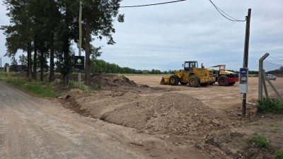 Multa millonaria por tala de &aacute;rboles: sancionaron un grave da&ntilde;o al arbolado p&uacute;blico en Colectora Norte