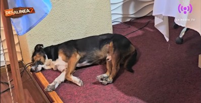 Una cobertura &ldquo;Desalineada&rdquo;: las perlitas de la primera sesi&oacute;n del a&ntilde;o del HCD